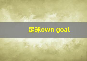 足球own goal